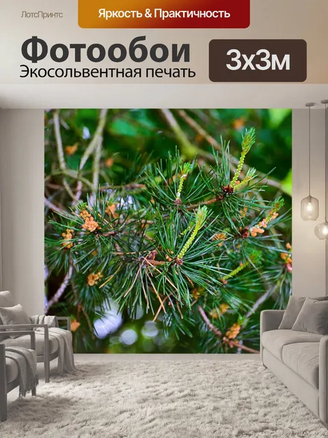 Фотообои Лес