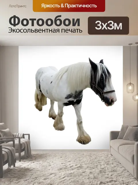 Фотообои животное