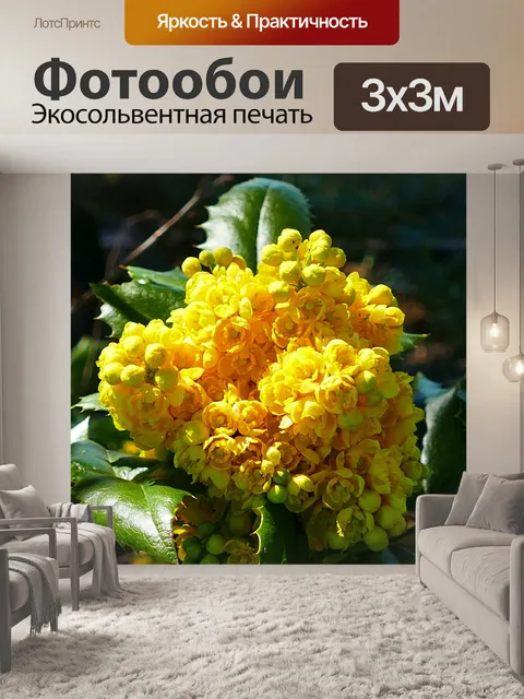 Фотообои Цветы