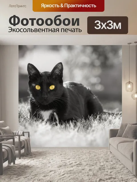 Фотообои Кошка