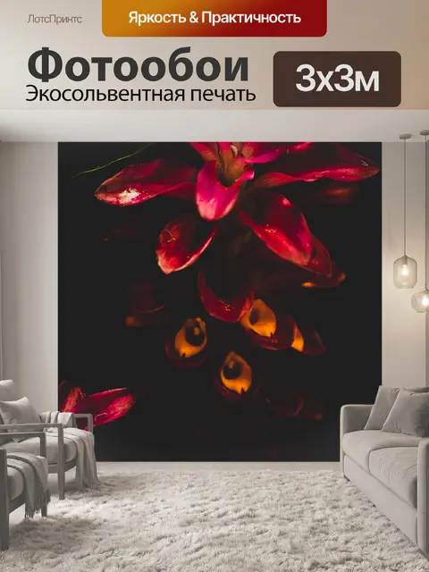 Фотообои Цветок