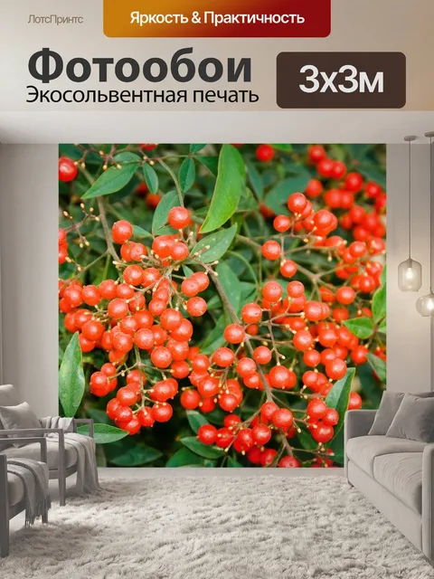 Фотообои Ягоды