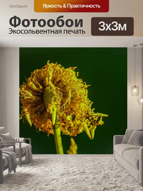 Фотообои Зеленое семя Белый цветок попинака