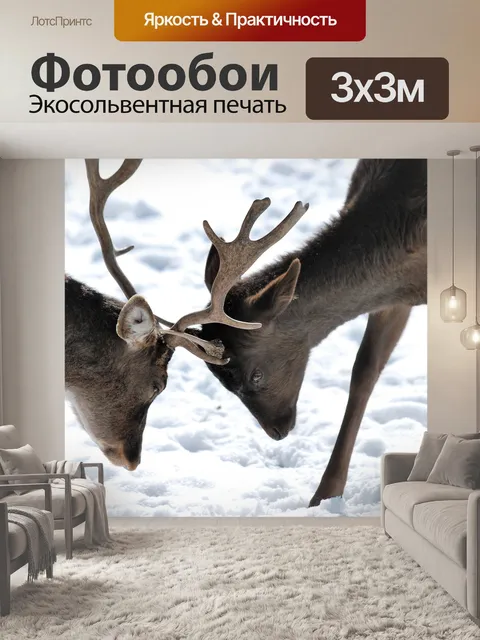 Фотообои Олень