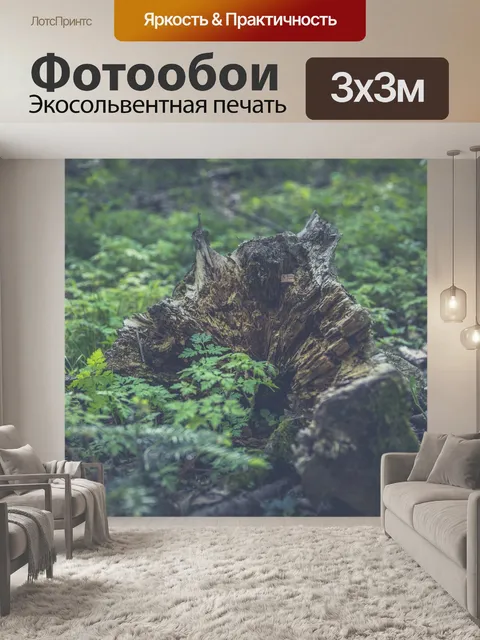 Фотообои Лес