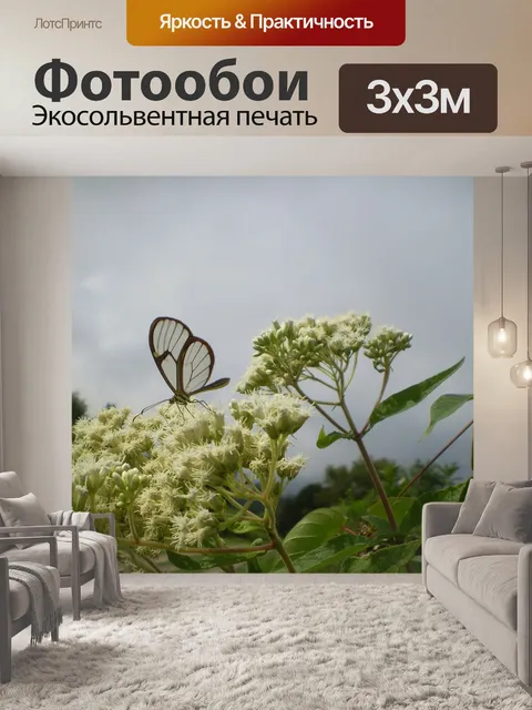 Фотообои Бабочка