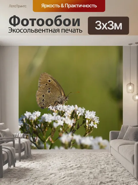 Фотообои Бабочка