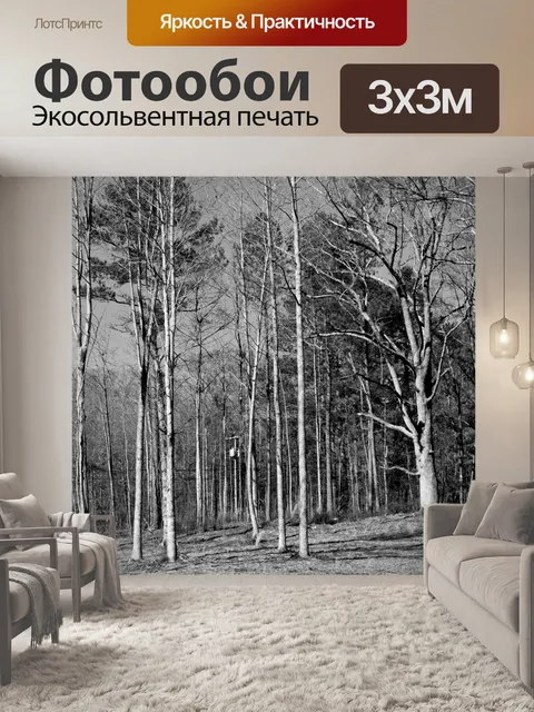 Фотообои Барон лесным деревьям