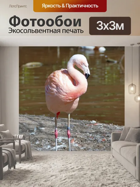 Фотообои Птица