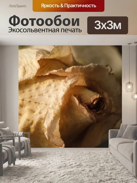 Фотообои Розы