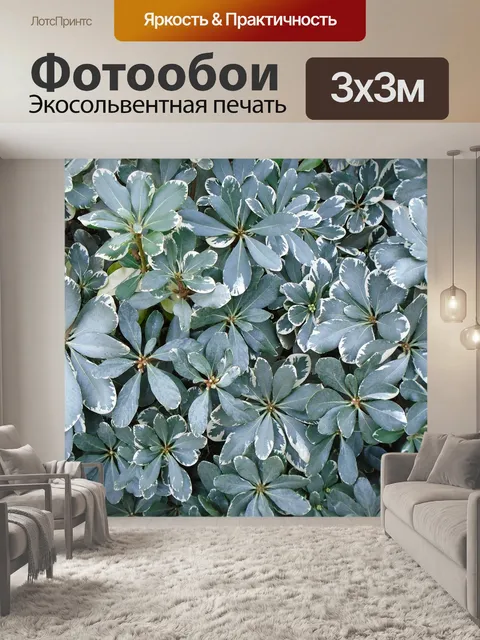 Фотообои Листья