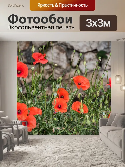 Фотообои Маки