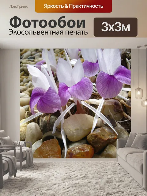Фотообои Цветы