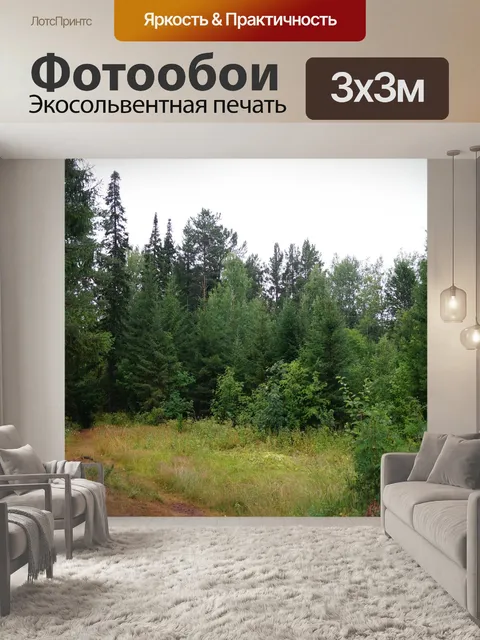 Фотообои Лес