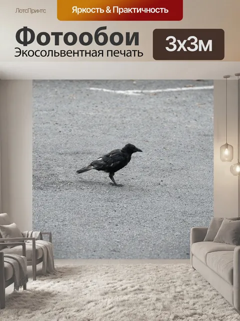 Фотообои Ворона на тротуаре