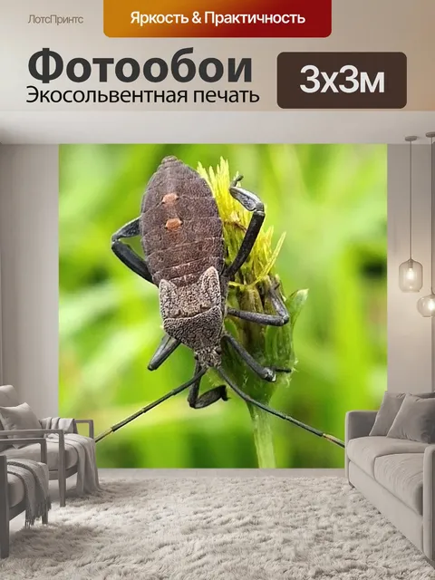 Фотообои Животное
