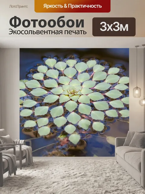 Фотообои Листья