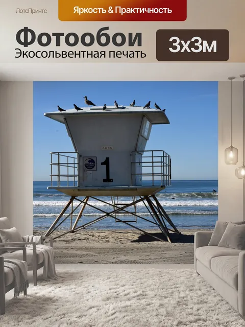 Фотообои птицы на станции спасателей