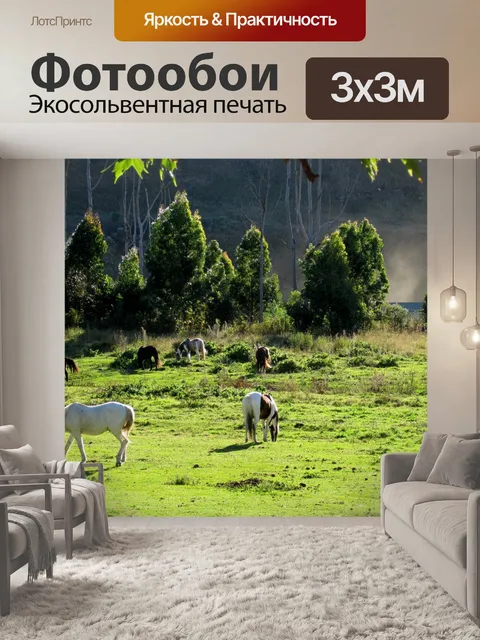 Фотообои луг с лошадей, Дракенсберг