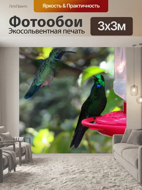Фотообои Птица