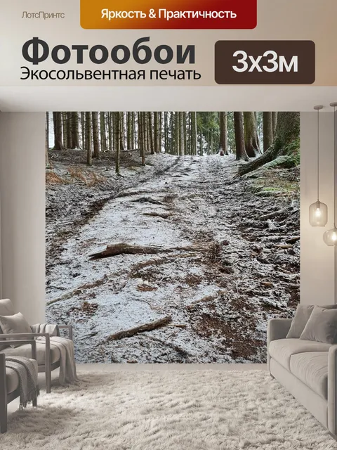 Фотообои Зима
