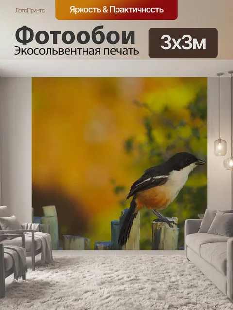 Фотообои Птица