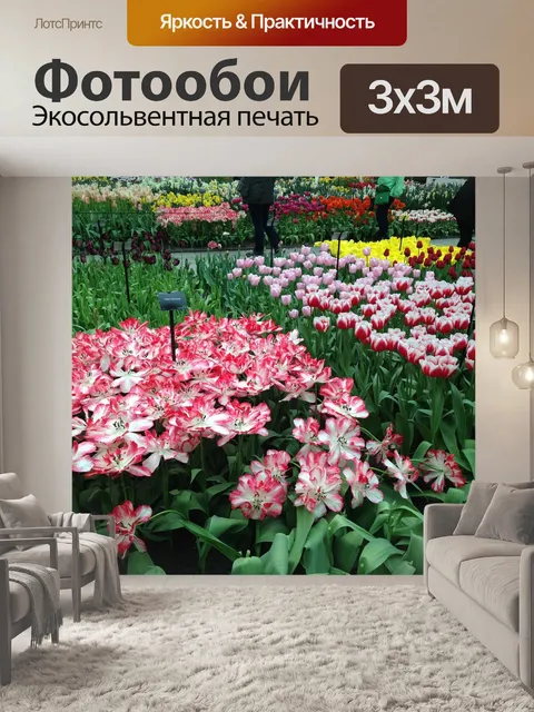 Фотообои Цветы