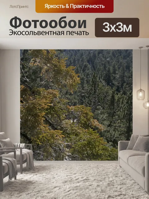 Фотообои Сосны