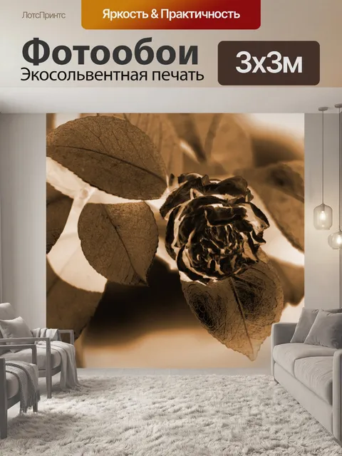 Фотообои сепия тонированный сухой цветок японской