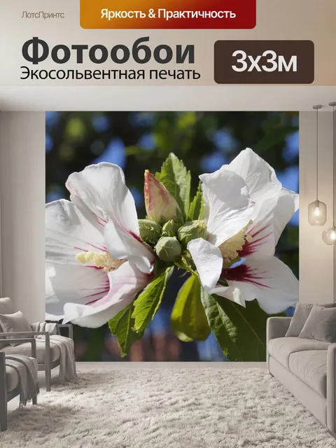 Фотообои Цветы