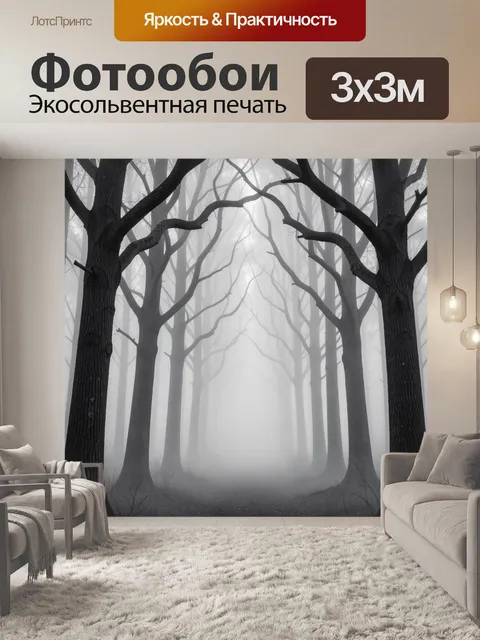 Фотообои Туманный лес с высокими деревьями