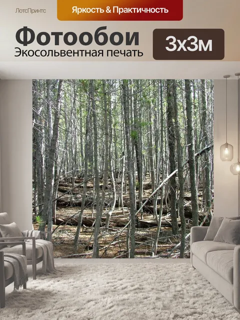Фотообои Лес