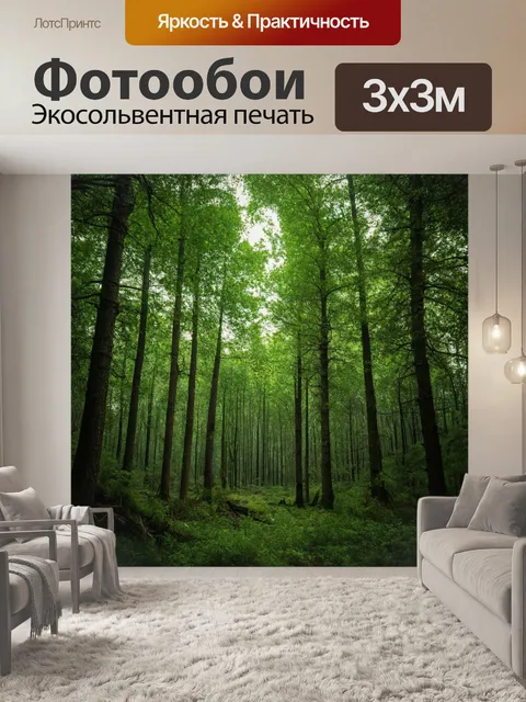 Фотообои лес с элементами минимализма, с несколькими деревьями и чистыми линиями