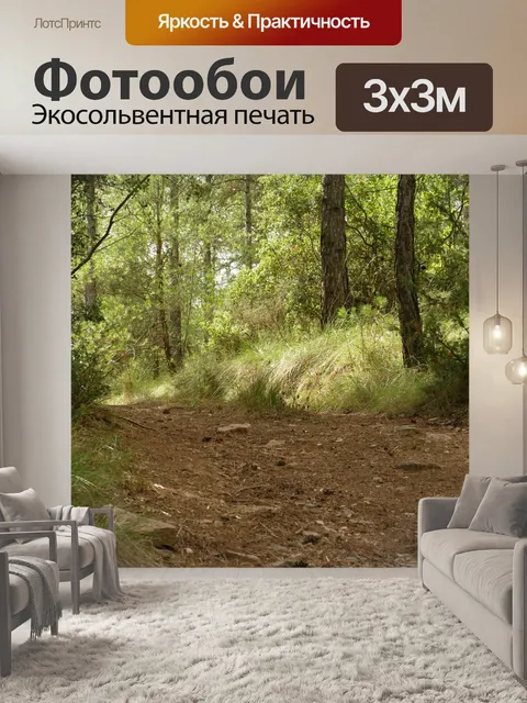 Фотообои Лес