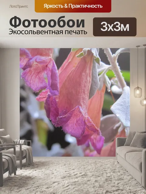 Фотообои Цветы