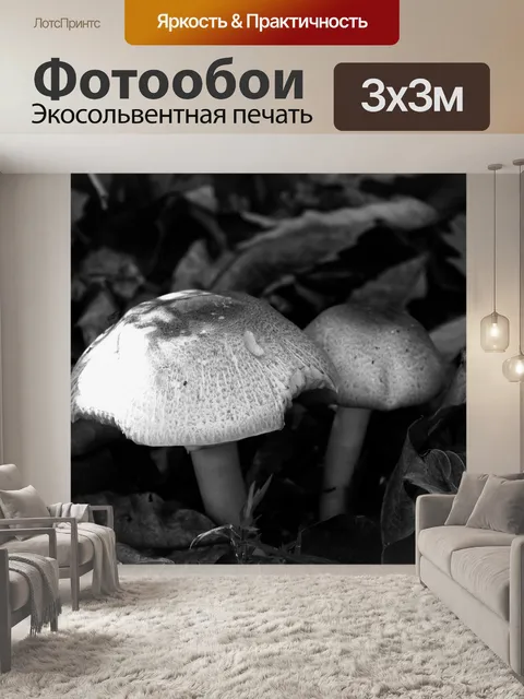 Фотообои Грибы и опавшие листья