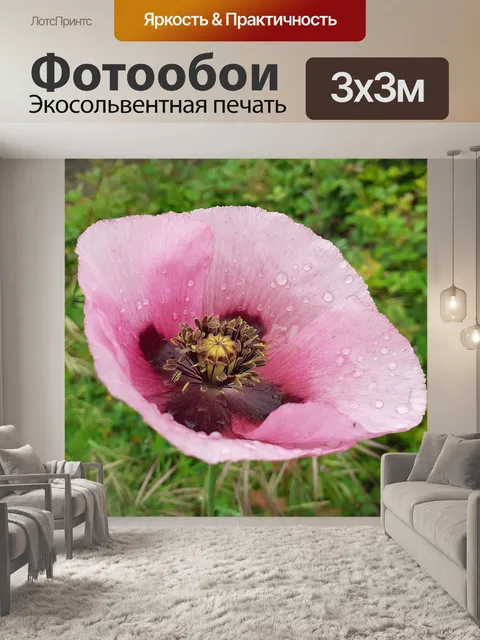 Фотообои Цветок
