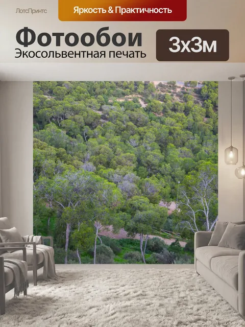 Фотообои Зеленое дерево