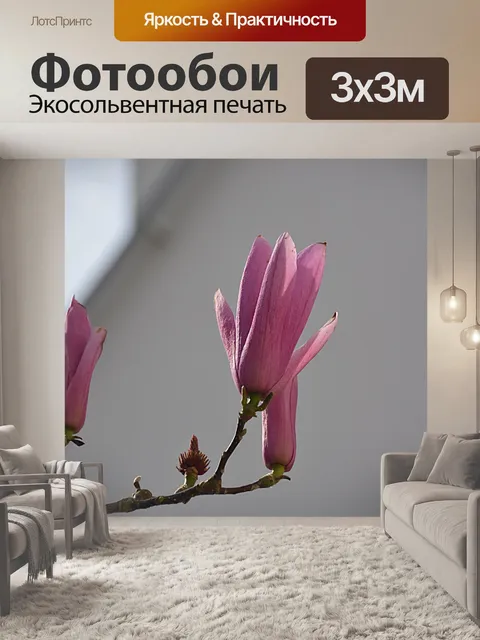 Фотообои Магнолии