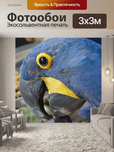 Фотообои Арара