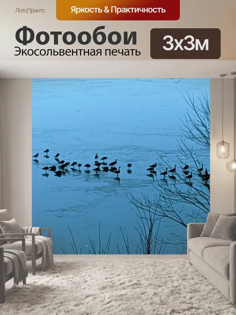 Фотообои Утки