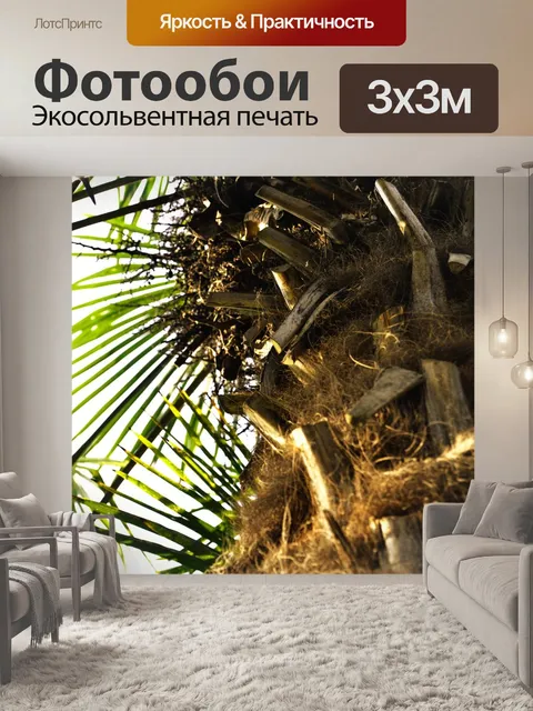 Фотообои Пальма