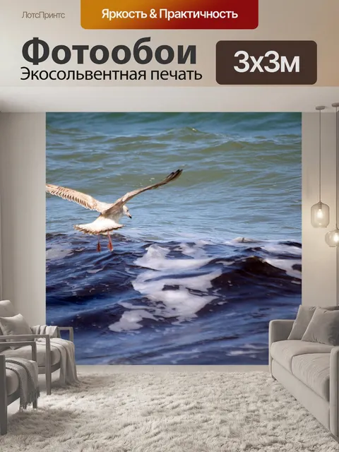 Фотообои Чайка