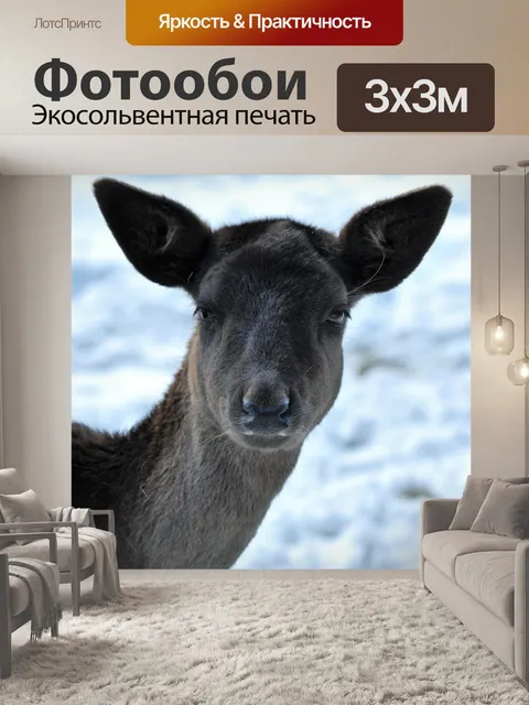 Фотообои Олень