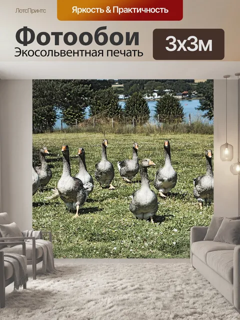 Фотообои Гуси