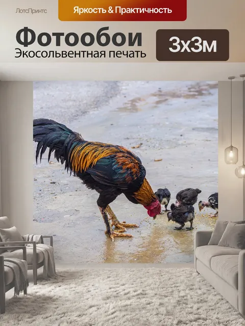 Фотообои Курица