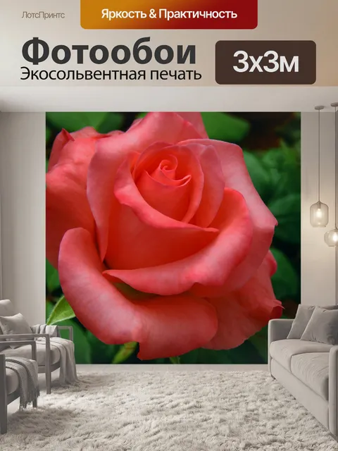 Фотообои Роза