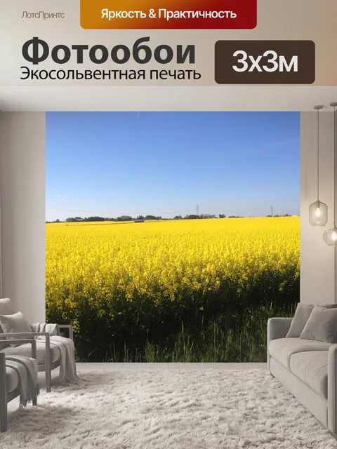 Фотообои Желтые поля