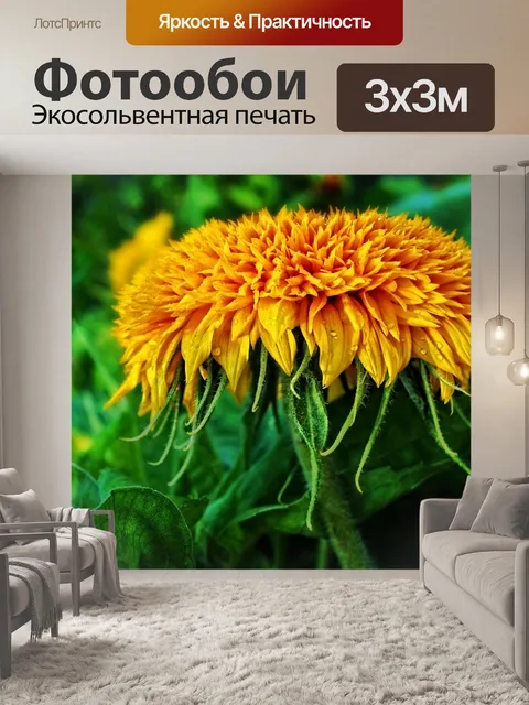Фотообои Блоссом цветник природа