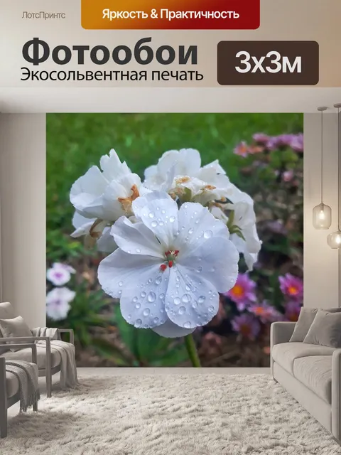 Фотообои Природа